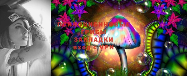 а пвп мука Армянск