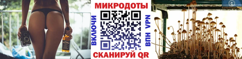 Псилоцибиновые грибы Psilocybe  кракен ссылки  Устюжна 